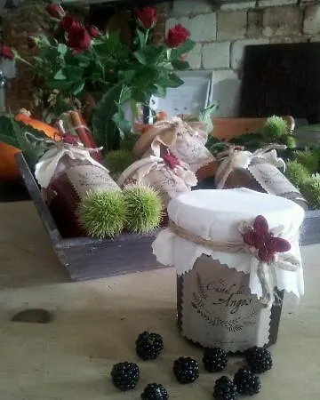 Alojamento de Acomodação e Pequeno-almoço Chateau 