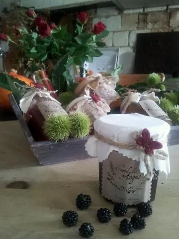 Couette-café Chateau 