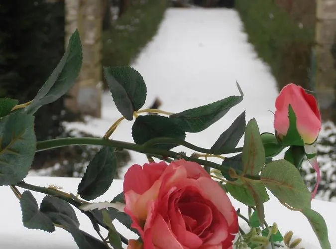 Bed & Breakfast Chateau 